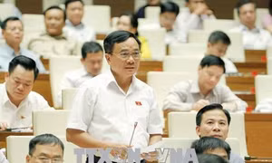 https://mediacms.baotintuc.vn/2018/06/14/19/07/dien.jpg