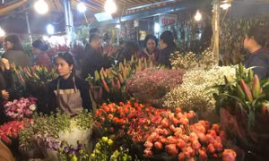 Chợ hoa Quảng Bá, Hà Nội họp xuyên đêm những ngày cận Tết