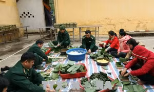 Bộ đội Biên phòng Điện Biên giúp dân vui Xuân đón Tết 