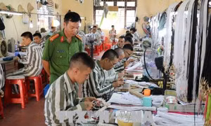 Giúp người chuẩn bị chấp hành xong án phạt tù ổn định cuộc sống 