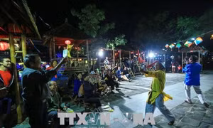 Đón Bằng công nhận 'Nghệ thuật Bài chòi' là Di sản văn hóa phi vật thể đại diện nhân loại