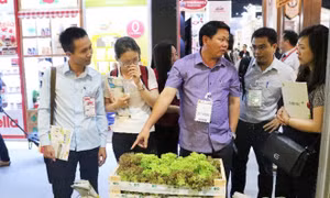 Vineco đưa nông sản Việt chinh phục thị trường Thái Lan