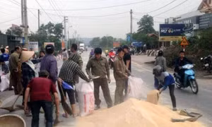 Lực lượng công an và người dân giúp chủ xe container thu gom cám bị đổ trên đường