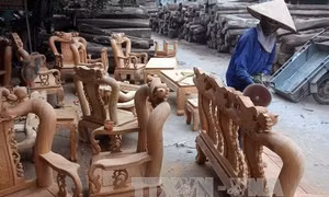  Doanh nghiệp gỗ Việt Nam chưa 'mặn mà' với thị trường nội địa