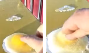 Trời lạnh giá, lòng trứng vừa vỡ đã đóng băng trong vài giây