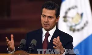 Tổng thống Mexico cam kết tăng cường quan hệ mọi mặt với Việt Nam 