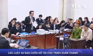 Các luật sư bào chữa gỡ tội cho Trịnh Xuân Thanh