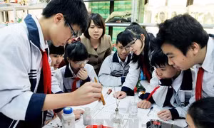 Những trường nào của Hà Nội được tuyển sinh lớp 6 bằng đánh giá năng lực?