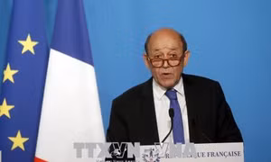 Pháp hối thúc Syria cho phép các thanh sát viên OPCW tiếp cận hiện trường Douma 