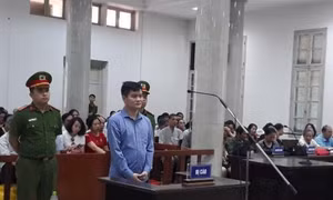 Phạt tù chung thân chủ trang mạng 'hoclamgiau.vn' về tội lừa đảo chiếm đoạt tài sản 