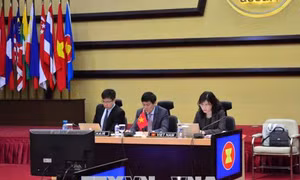 Việt Nam đồng chủ trì cuộc họp Ủy ban Hợp tác chung ASEAN-Ấn Độ lần thứ 18 