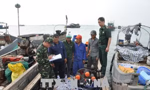 Quảng Ninh: Bắt giữ 4 bè mảng khai thác thủy sản trái phép