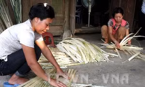 Giúp người dân miền núi giảm nghèo 