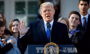 Đa số người dân Mỹ không tán thành cách điều hành của Tổng thống Trump 