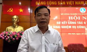 EC ghi nhận nỗ lực khắc phục 'thẻ vàng' của thủy sản Việt Nam 