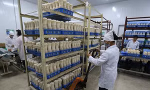 Thúc đẩy đầu tư vào nông nghiệp: Hoàn thiện hạ tầng cho nông nghiệp phát triển - Bài 2
