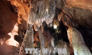 Khám phá vẻ đẹp động Nàng Tiên