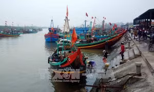 Việt Nam có thể trở thành hình mẫu trong việc giảm khai thác hải sản bất hợp pháp