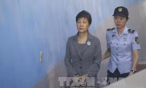 Cựu Tổng thống Hàn Quốc Park Geun-hye đối mặt cáo buộc mới