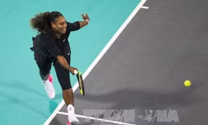 Australian Open 2018: Cơ hội nào cho các tay vợt nữ?