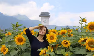 Nóng như thế này, sao phải ở thành phố?!