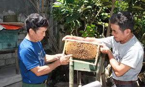 Vốn nhỏ, hiệu quả lớn