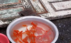 Rộn ràng không khí mua sắm Tết ông Công, ông Táo
