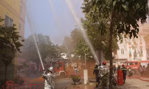 TP Hồ Chí Minh