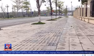 Hàng loạt sai phạm trong dự án lát đá vỉa hè ở Hà Nội 