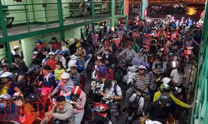 TP Hồ Chí Minh