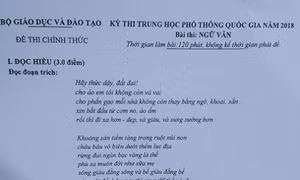 Thơ Nguyễn Duy vào đề thi môn Ngữ văn chính thức kỳ thi THPT quốc gia 2018 