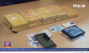 Bắt đối tượng mua bán trái phép 10 bánh heroin tại Điện Biên