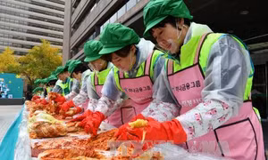 KITA: Việt Nam sẽ trở thành thị trường xuất khẩu lớn thứ hai của Hàn Quốc nhờ FTA 