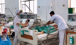 Năm người nguy kịch vì ngộ độc cá nóc 