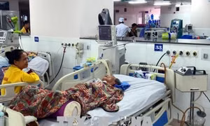 Một người tử vong do nhiễm khuẩn liên cầu lợn