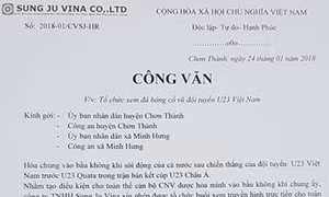 Nhiều công ty nước ngoài cho nghỉ làm chiều 27/1 để cổ vũ U23 Việt Nam
