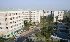 Hà Nội cần quản lý, sử dụng hiệu quả quỹ đất 20% và quỹ nhà 30% tại các dự án nhà ở 