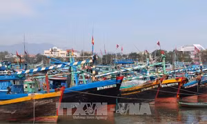 Các tỉnh, thành phố từ Đà Nẵng đến Kiên Giang chủ động ứng phó với bão Sanba 