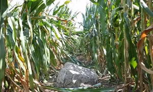 Tức cười với ngọn núi nhỏ nhất, cao 60cm!