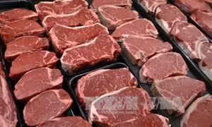 Cơ hội mua ô tô, thịt, sữa từ châu Âu giá rẻ đang tới gần