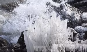 Ít nhất 41 người thiệt mạng khi châu Âu tiếp tục chìm trong giá rét