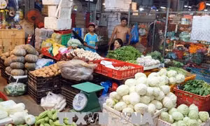 Bịa đặt tin đóng cửa, ngưng hoạt động Chợ đầu mối Bình Điền
