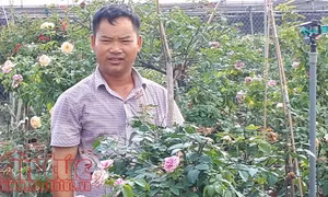 Đầu tư lớn cho khu vực nông thôn sáp nhập về Hà Nội