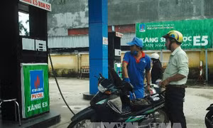 Phó Thủ tướng chỉ đạo khuyến khích người tiêu dùng sử dụng xăng sinh học