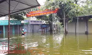  Hà Nội tiếp tục bơm tiêu chống úng, lụt