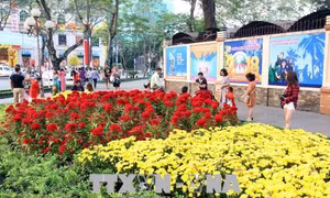 Rộn ràng sắc Xuân trên mọi miền Tổ quốc