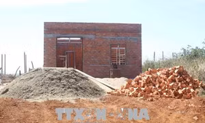 Phản hồi thông tin của TTXVN: Điều tra vụ xây nhà trái phép trên đất lâm nghiệp tại Đắk Nông 