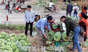 Hiệu quả từ mô hình kết nghĩa thôn bản biên giới Việt - Trung