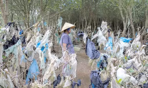 Rác thải nhựa đại dương - Bài cuối: Ứng dụng công nghệ tái chế rác nhựa không gây ô nhiễm môi trường