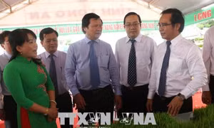 Khai mạc Lễ hội lúa gạo vùng đồng bằng sông Cửu Long